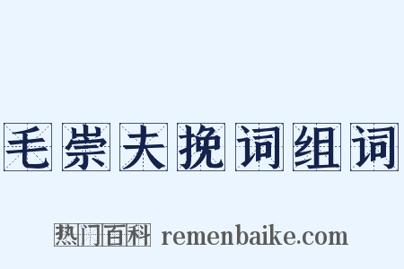 毛崇夫挽词组词是什么意思的图片